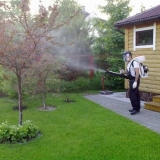 Tretiranje voćaka bakar-sulfatom u proleće